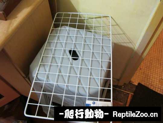 004955rfczgzshhwd7fhpu.jpg