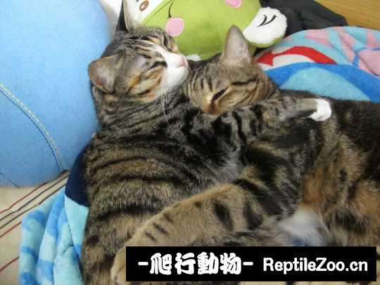 004959ldvadoxz6j6f45vf.jpg