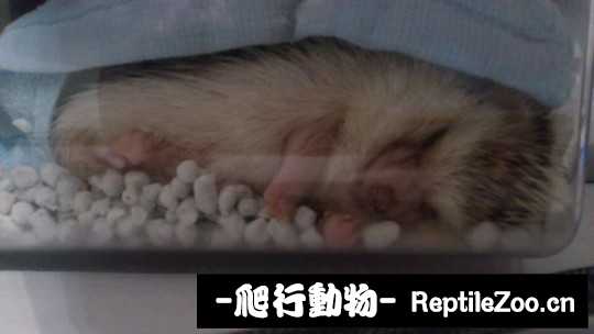 005114sh12mtr124z1l96p.jpg