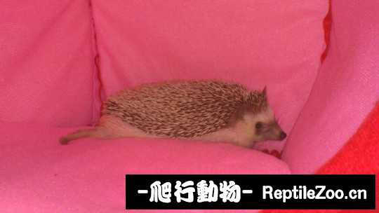 005115obfb5dl4cz8cf5kz.jpg