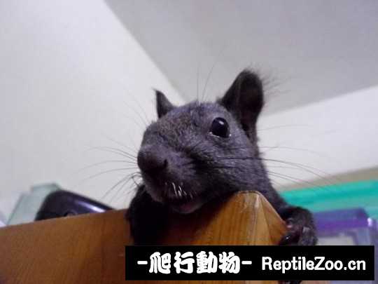 005127dduu5m5wwkkhmeex.jpg