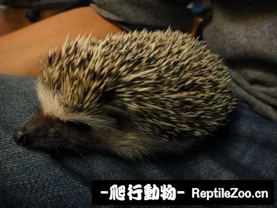 005130p5tyhfjmjruyf23h.jpg