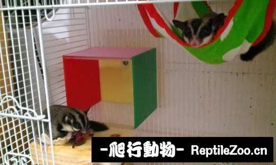 005136lahzlhdysy5xmjia.jpg