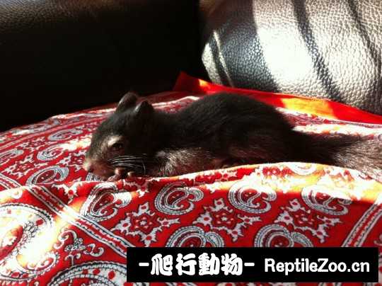 005148txmxzm1m14wg4x3g.jpg