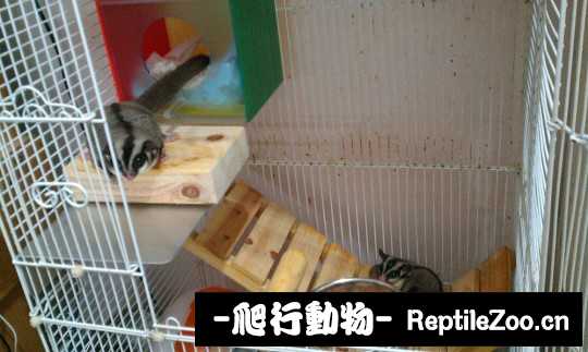 010109jkxitzz4m584zuox.jpg