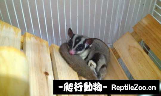 010110rfaqhivl4qag4j0g.jpg