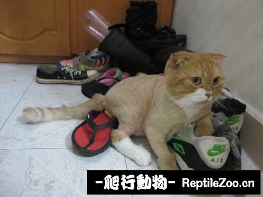 010208fey7z2mmzenw6eqf.jpg