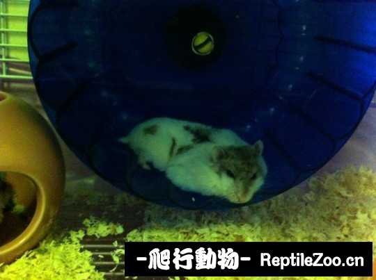 010214yzw5hwm0bflphr0w.jpg