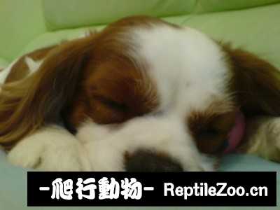 010220sjj7xinlz6f6cccn.jpg