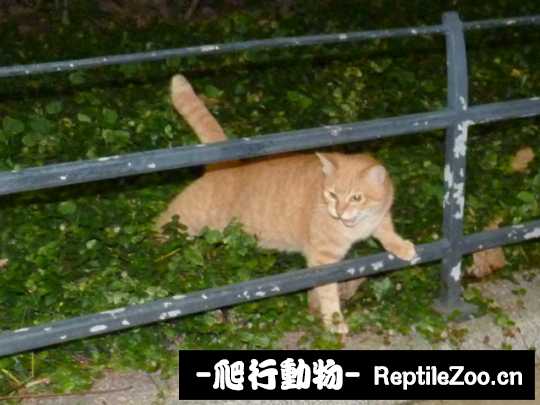 010245c28cbfsjblh58l05.jpg