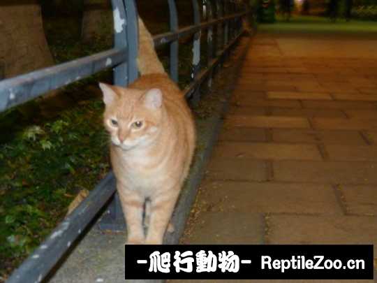 010246dyo4gsjdty426iuu.jpg