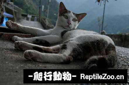 010253b1j35e8jp28fvm3j.jpg