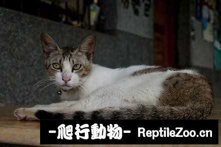 010254wwq4xq4jakppr8xf.jpg