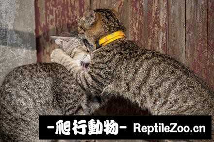 010255i4do4dppfe3fddo3.jpg