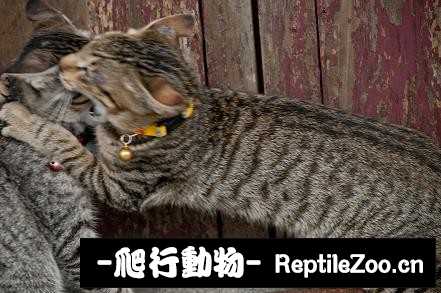 010255qwymywokl9l9otyw.jpg