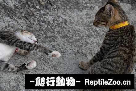 010257ndddwm5pmvtgf05m.jpg