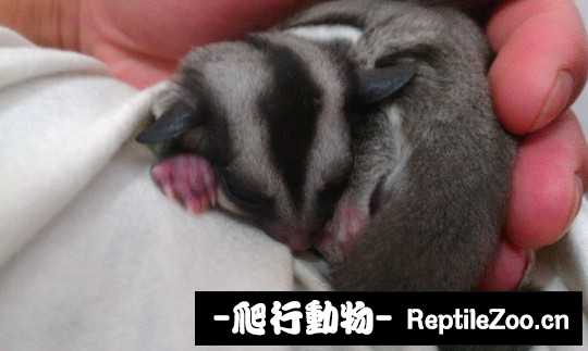 010323hiortrlssskmik0f.jpg