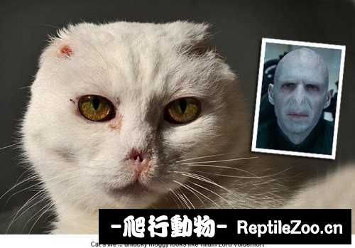 010520b9h9nibfh23hf23f.jpg