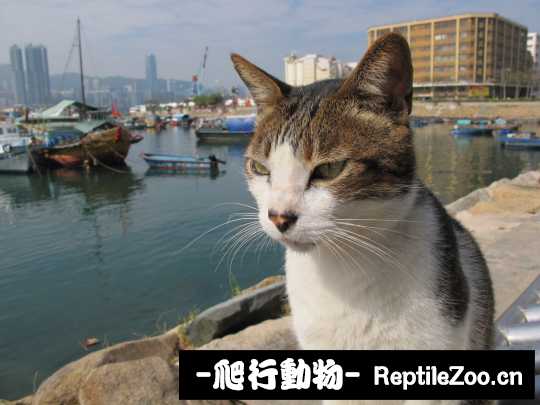 013100azc148xhxng884hy.jpg