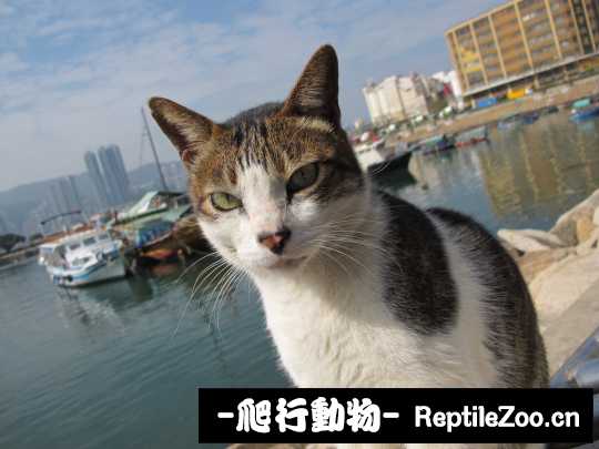 013102l0ncg700nncjcyg7.jpg