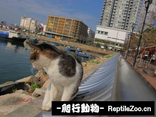 013103xpetecyq6kdtzlf6.jpg
