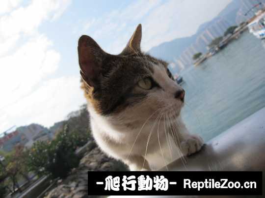 013105rz7opxwup7o4nx7o.jpg