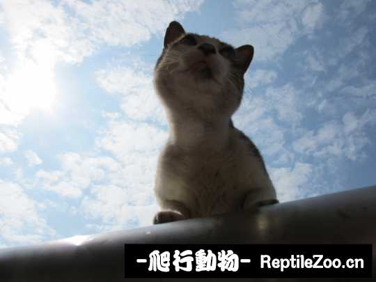 013106n0lubg0vppp6dl6b.jpg