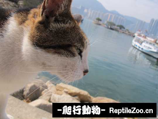 013111h4upm24m2ozvqdmk.jpg