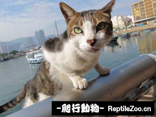 013112zy0vy04y3744yyv9.jpg