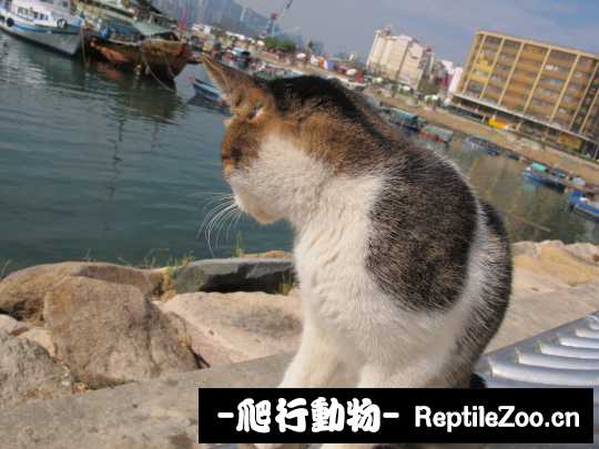013113wfpdu262kpsad46h.jpg