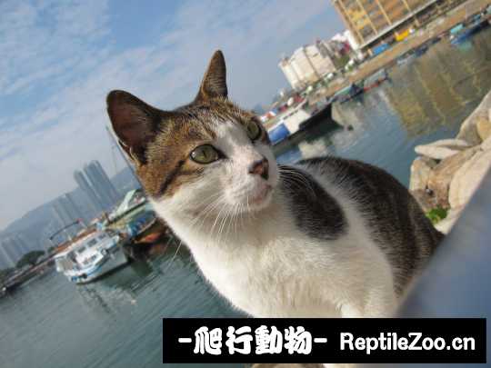 013116b7f9fpp9os57p95z.jpg