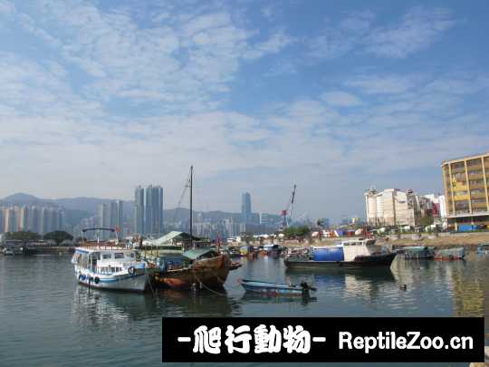 013116yz22str2h2sbnxua.jpg