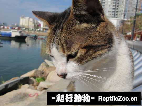 013119yw2k72kd7f0k89rg.jpg