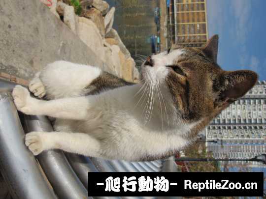 013120betde079qow3bbbr.jpg