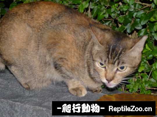 013125hzabpcqadczjq53b.jpg