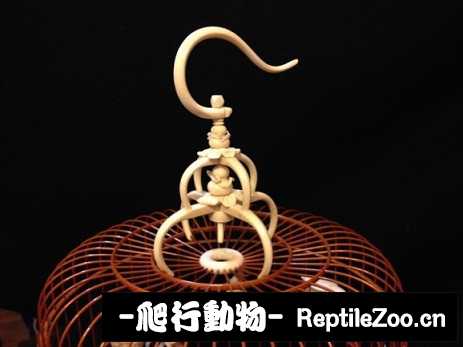 141504vd2irdqp7tfd72qf.jpg