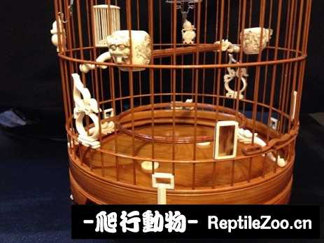 141505z7bze7mq77zqfm7p.jpg