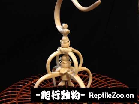 141507hhpzbxlhohmokkjv.jpg