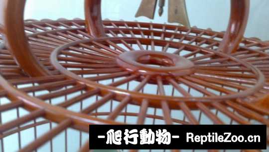 145010jsxu5xu5g9g8hx5u.jpg