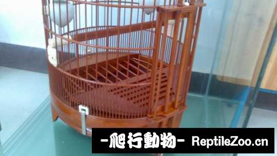 145012eqaureqbqreeq29y.jpg