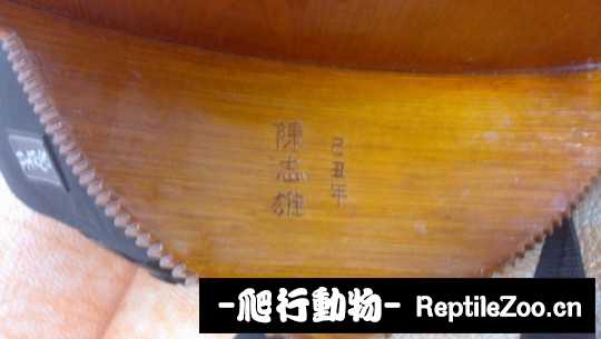 145012me9amenvekg99aq0.jpg
