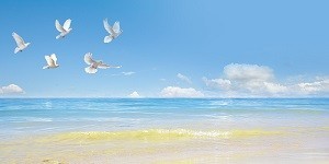 145505r8f8wd6ts8s2r6x4.jpg