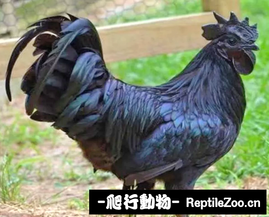 162523p0rhuegl9gxlr9i9.png