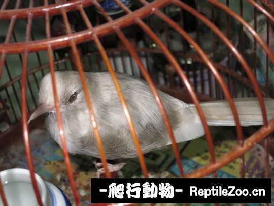 163508ull13oziq8okao3s.jpg