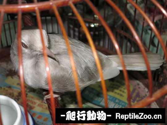 163509ytf2qfzkquqg499v.jpg