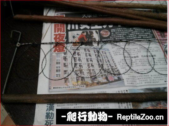 170334wl474b5jm5mqml72.png