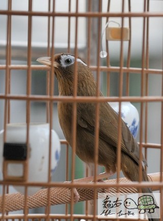 170337opdftcxpb75d6ac8.jpg