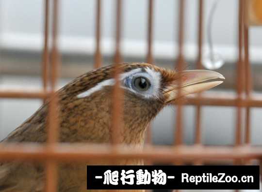 170339dou9edufuk9vzhbu.jpg