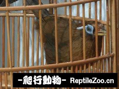 170410f3kj33cupim2m3f3.jpg