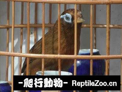 170411dndbddnd6kndbbnf.jpg
